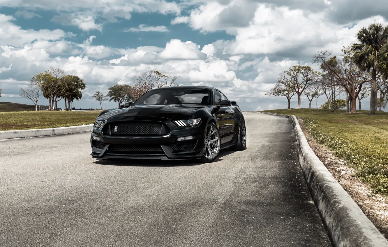 Фото обои Mustang, Ford, Shelby, GT500, Black, Sight