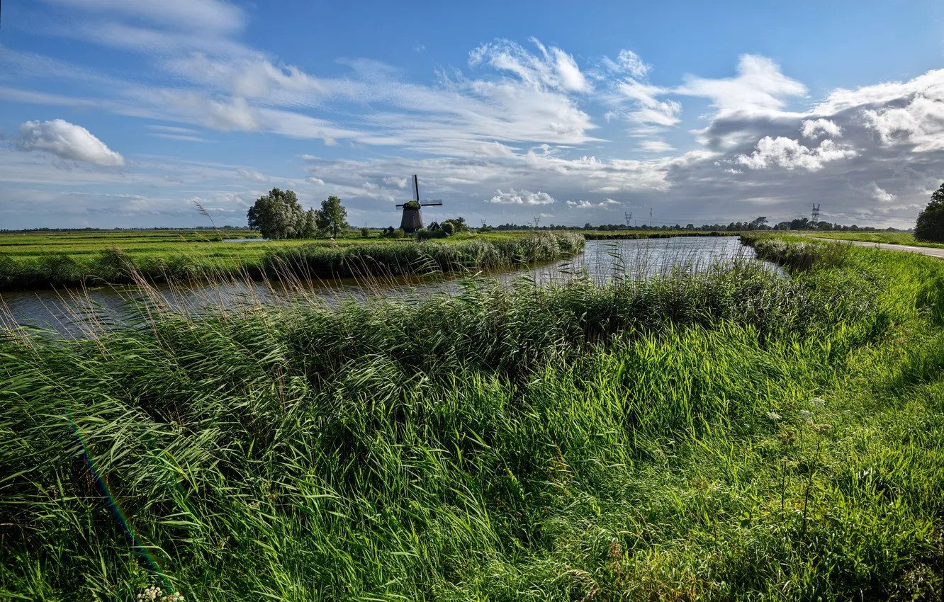 Фото обои трава, поля, мельница, речка, Нидерланды, Edam