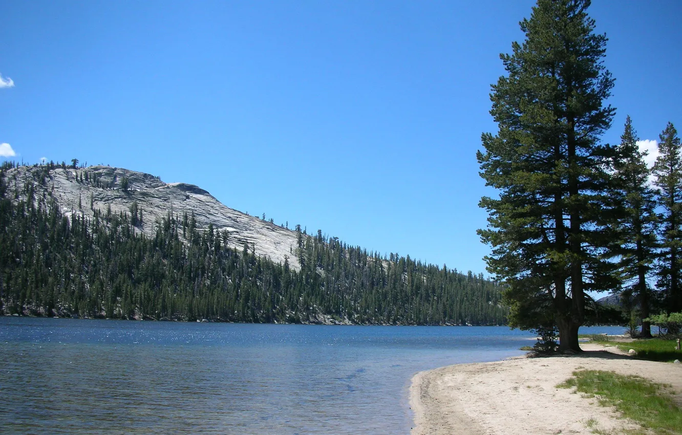 Фото обои лес, горы, природа, река, Yosemite National Park
