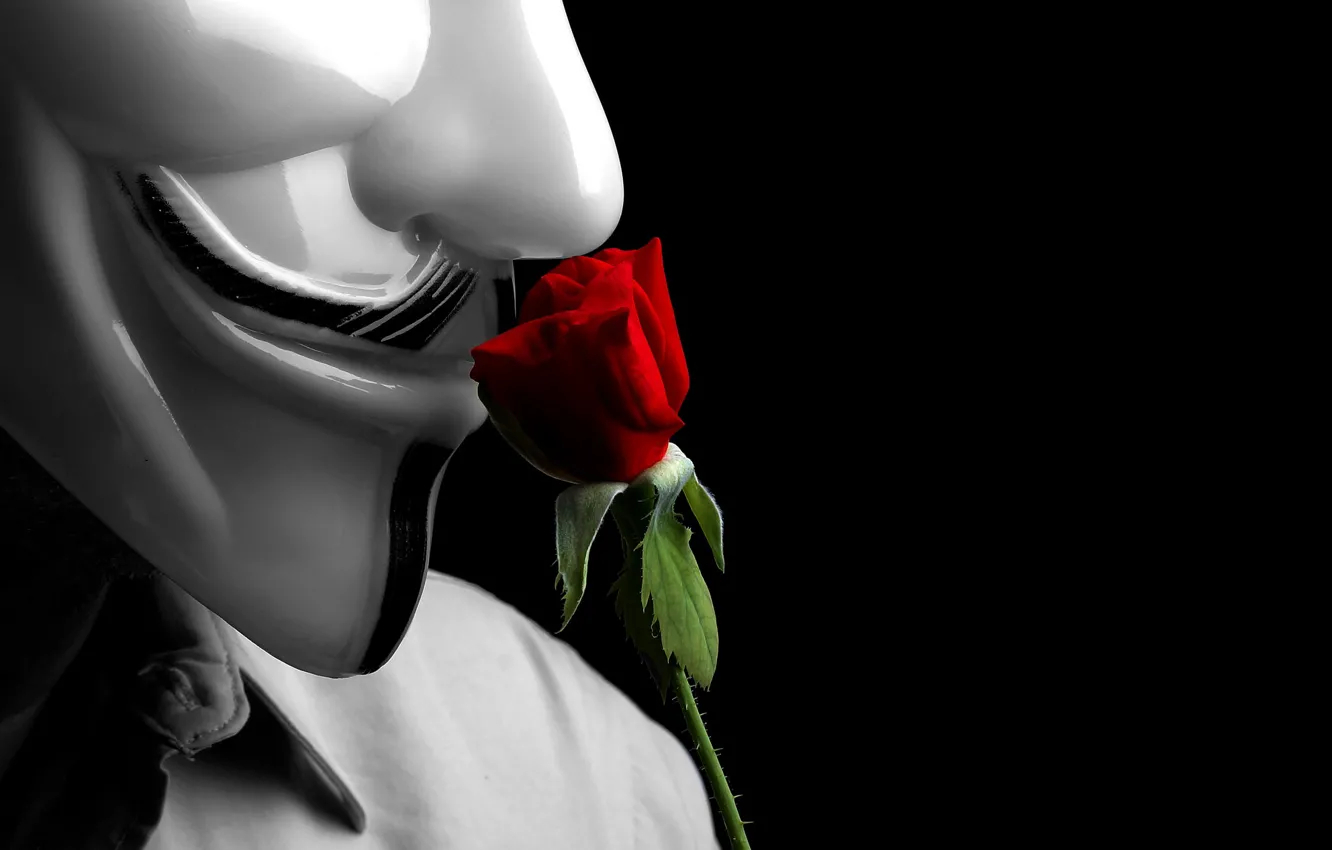 Фото обои фон, роза, маска