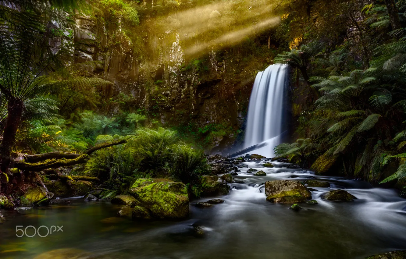 Фото обои лес, свет, природа, река, водопад