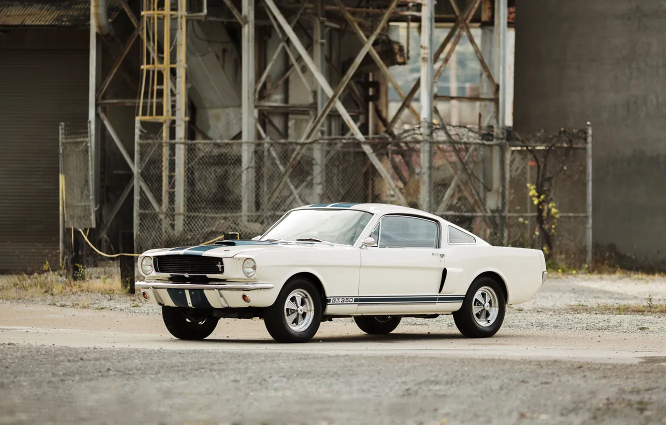 Фото обои Mustang, Ford, Shelby, мустанг, форд, шелби, 1966, GT350