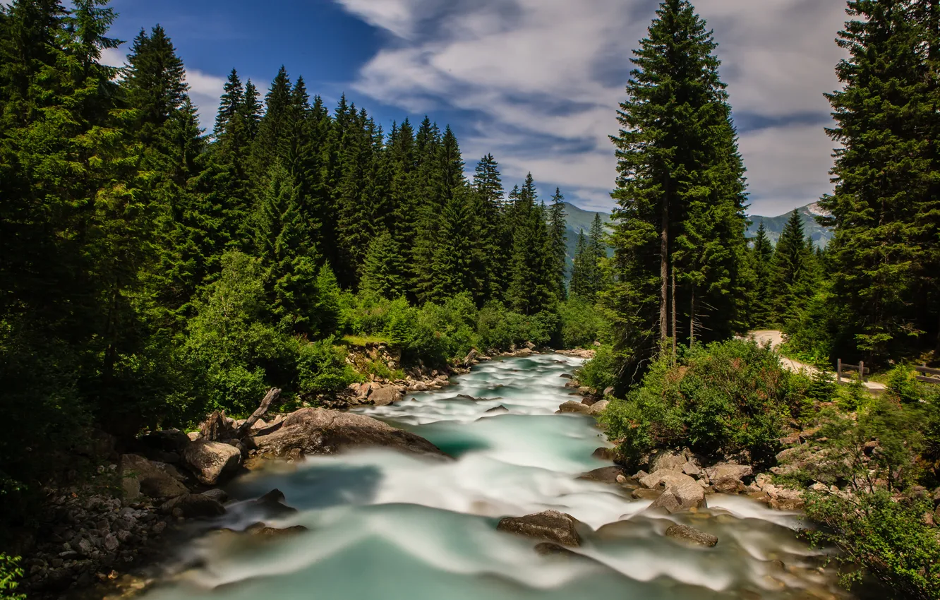 Фото обои лес, Австрия, Альпы, Austria, Alps, Krimmler Ache river, река Кримлер-Ахе