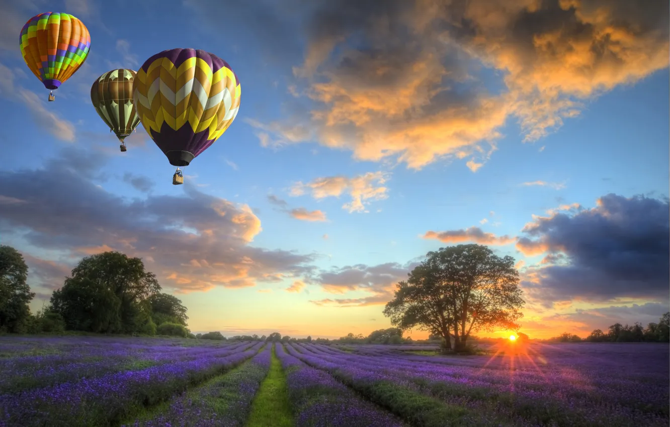Фото обои небо, облака, пейзаж, закат, природа, field, flowers, balloons