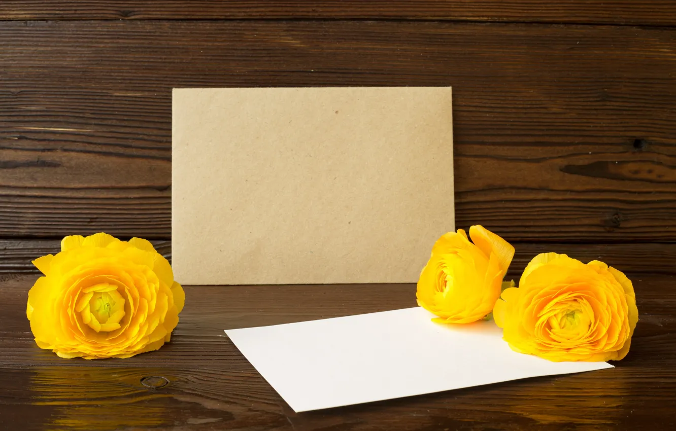 Фото обои цветы, фон, открытка