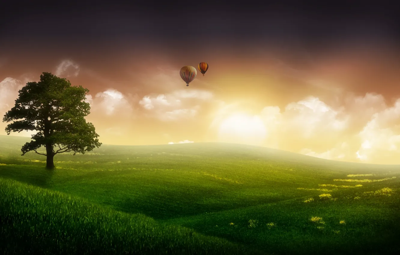 Фото обои небо, трава, туман, фантастика, дерево, шары