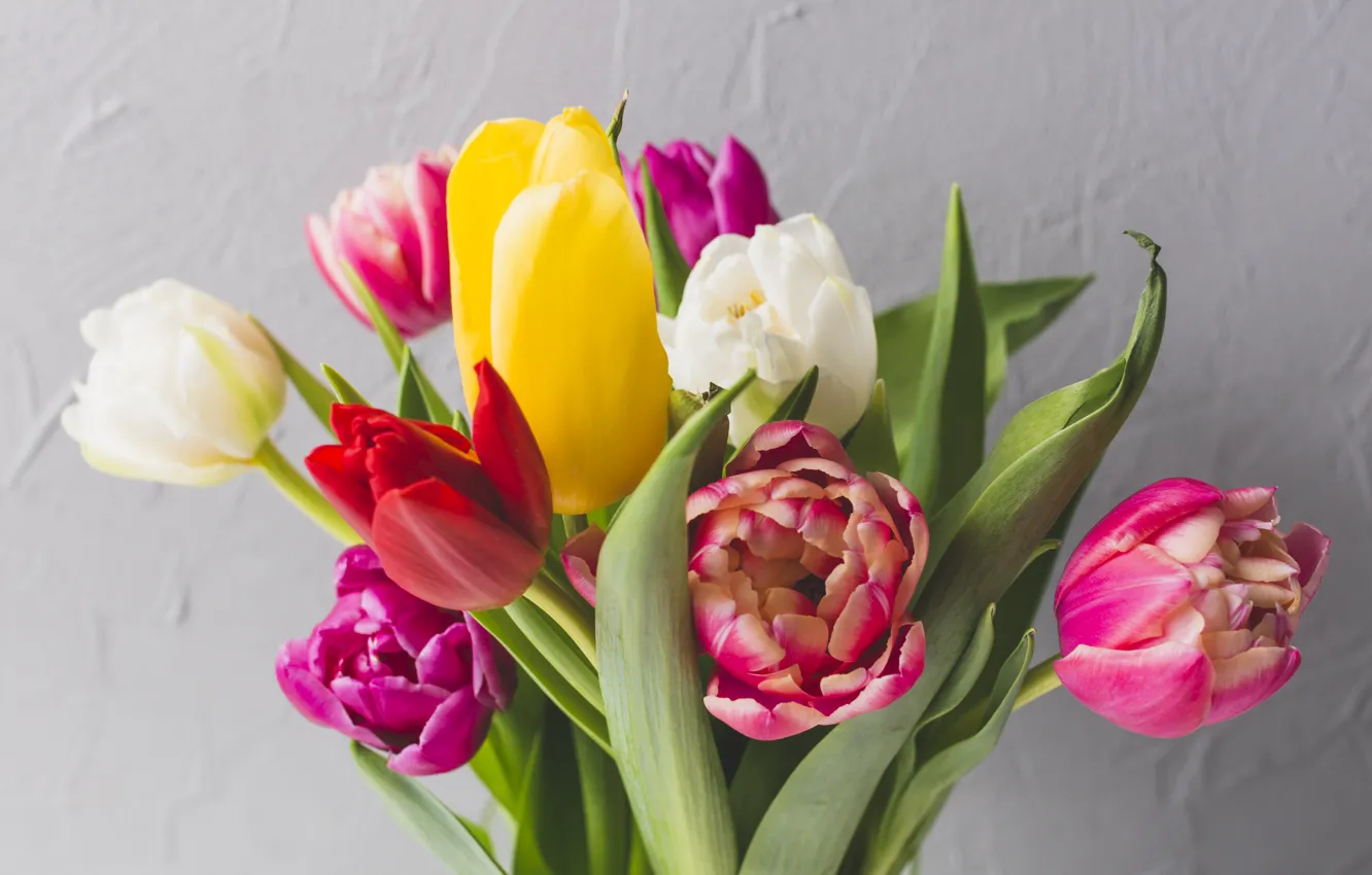Фото обои цветы, яркие, букет, весна, colorful, тюльпаны, fresh, flowers