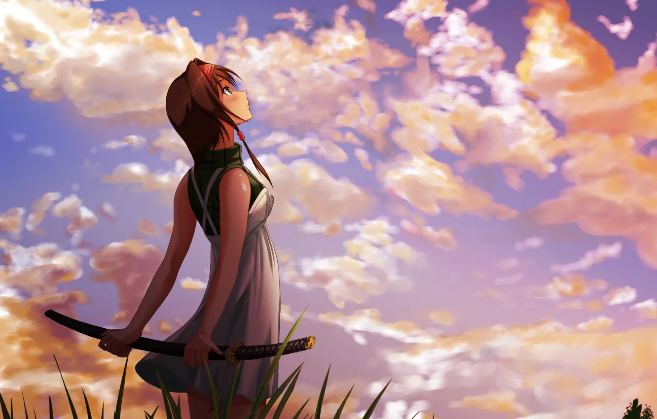 Фото обои небо, трава, девушка, облака, пейзаж, меч, катана, арт