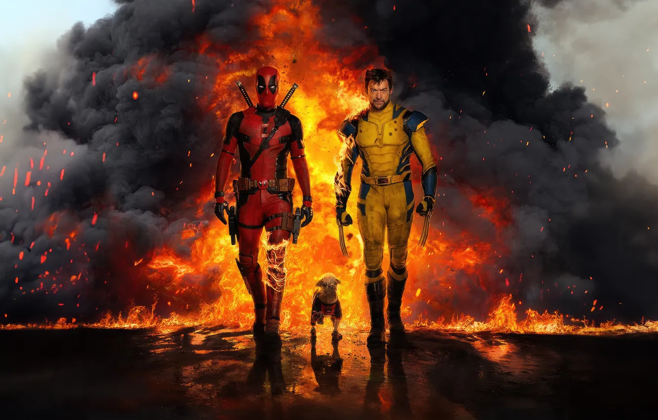 Фото обои пламя, собака, Логан, 2024, Deadpool & Wolverine, Дедпул и Росомаха