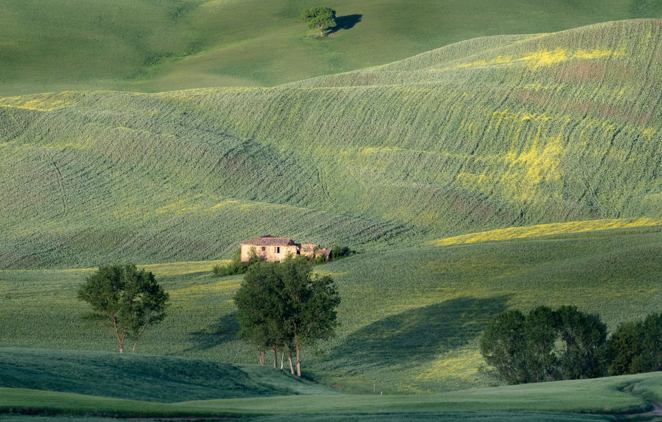 Фото обои поле, дом, холмы, Италия, Тоскана