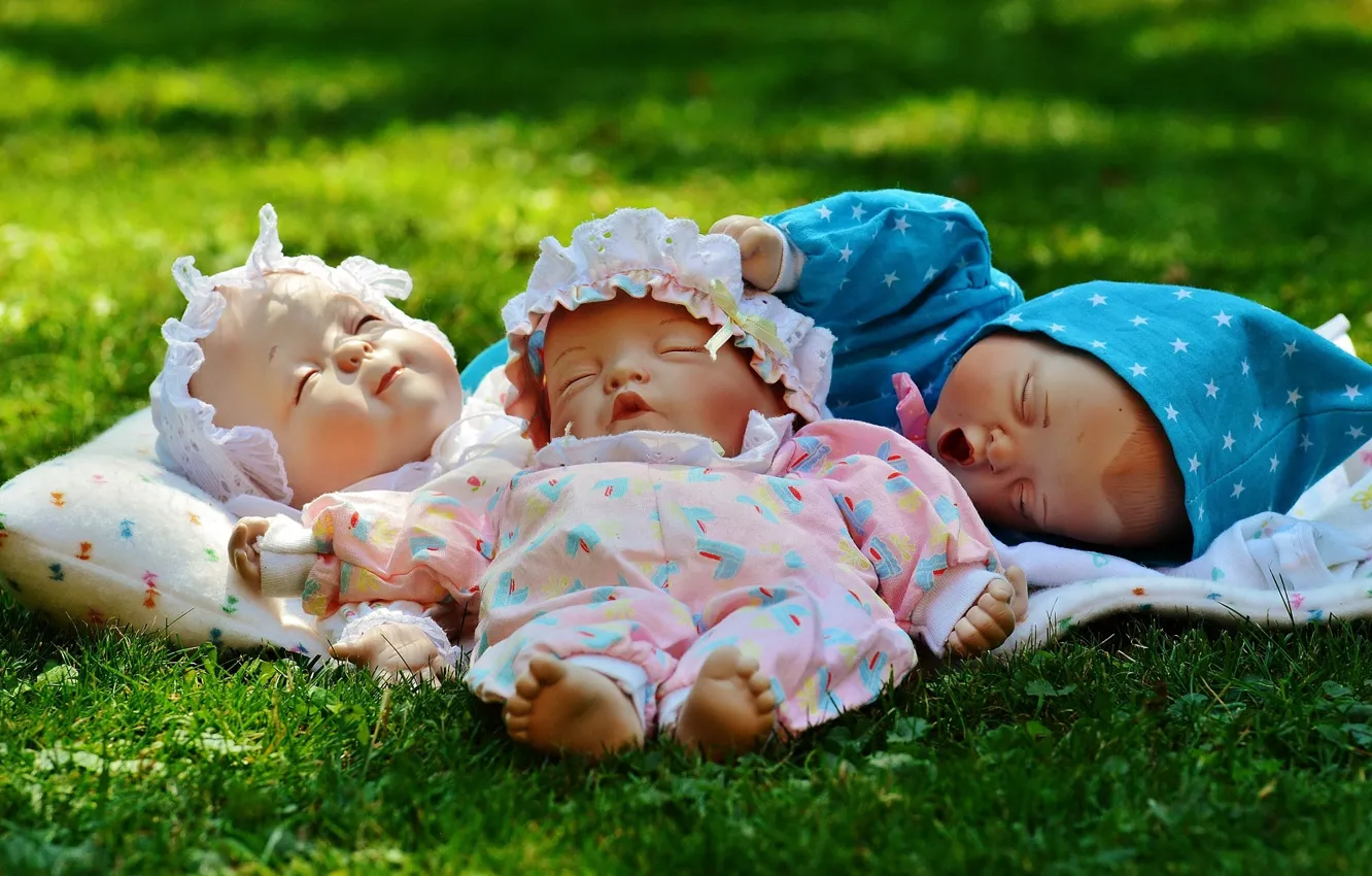 Фото обои трава, дети, игрушки, куклы, малыши, новорожденные