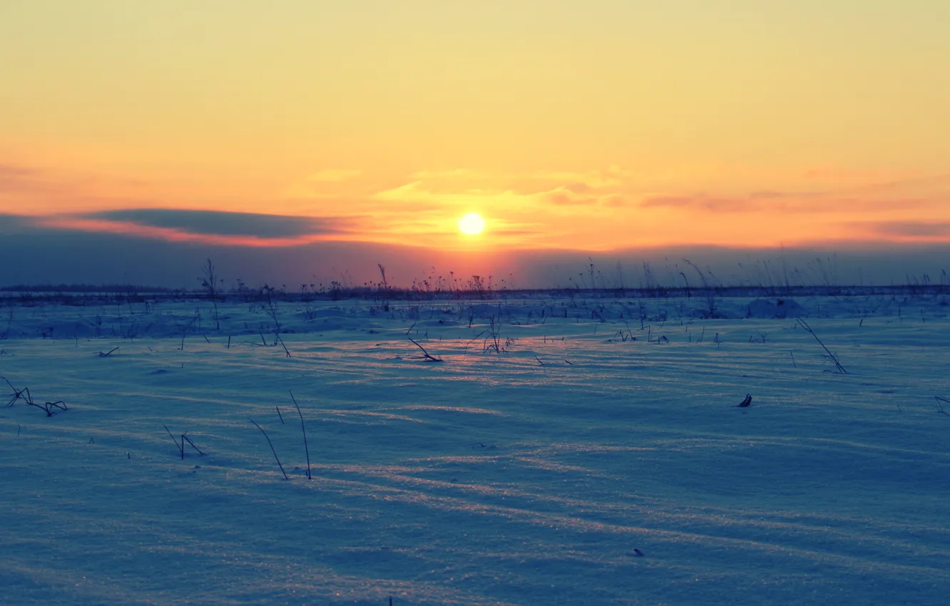 Фото обои зима, поле, солнце, закат