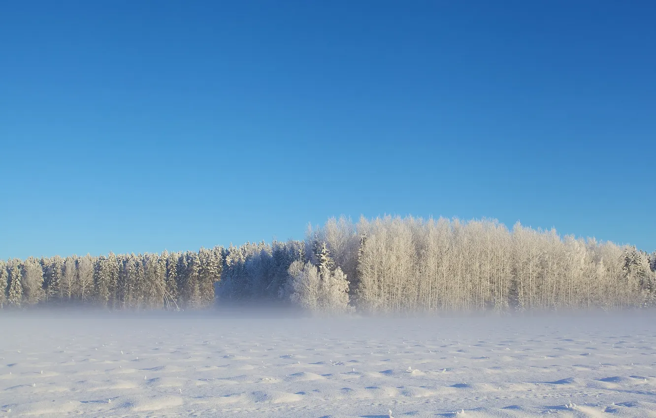 Фото обои зима, поле, пейзаж, природа