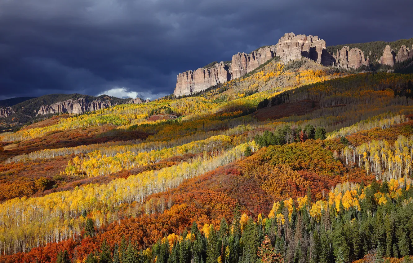 Фото обои осень, лес, яркие краски, горы, тучи, скалы, вершины, США