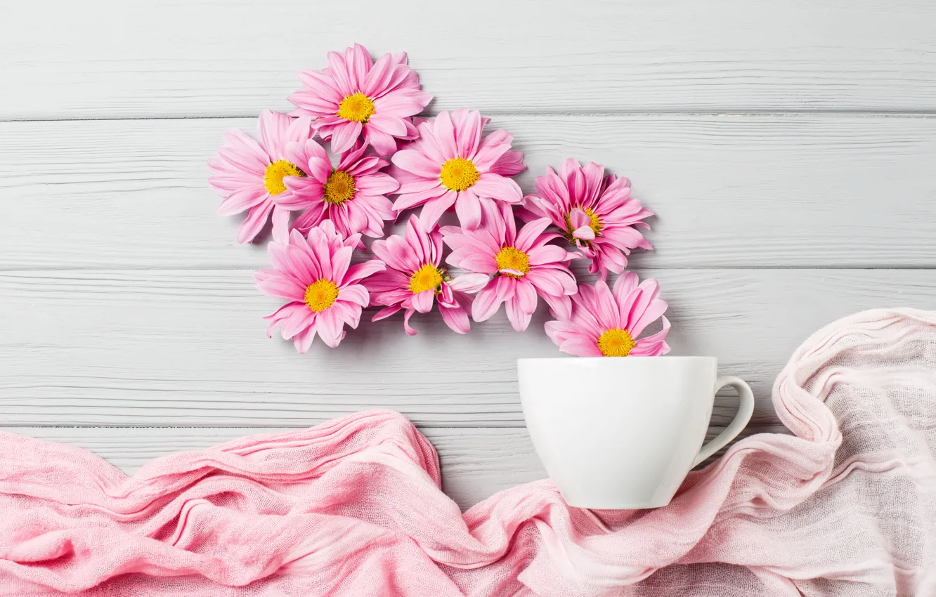 Фото обои цветы, фон, чашка, ткань, хризантемы
