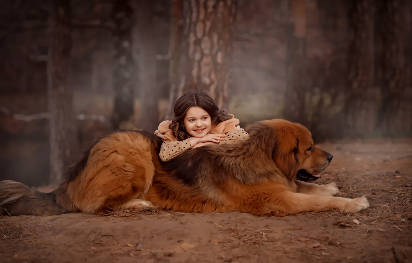 Фото обои лес, собака, девочка, друзья, пёс, тибетский мастиф, Валентина Ермилова