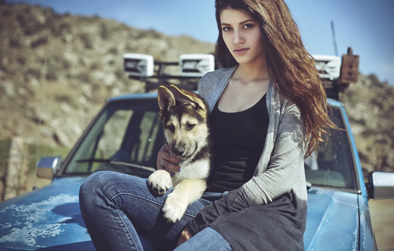 Фото обои машина, девушка, поза, брюнетка, щенок