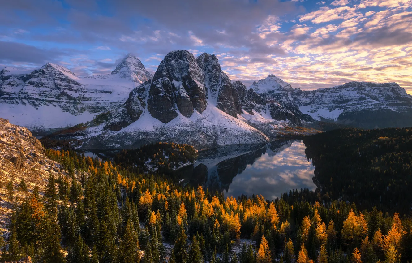 Фото обои осень, лес, горы, озеро, Канада, Canada, British Columbia, Британская Колумбия