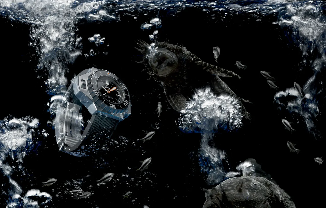 Фото обои вода, рыбы, Часы, Omega, Seamaster, 1200M, Ploprof