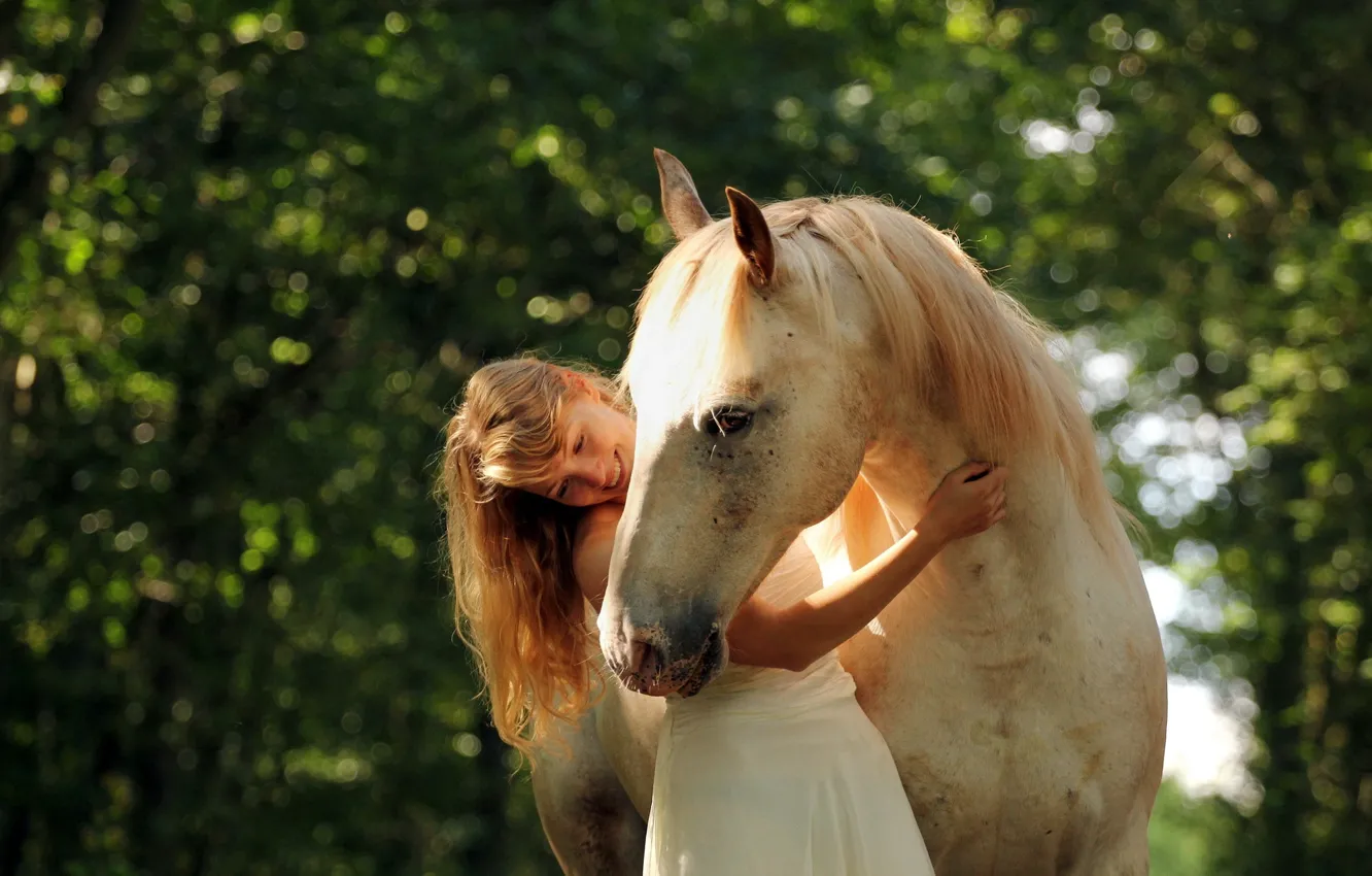 Фото обои лето, девушка, настроение, конь