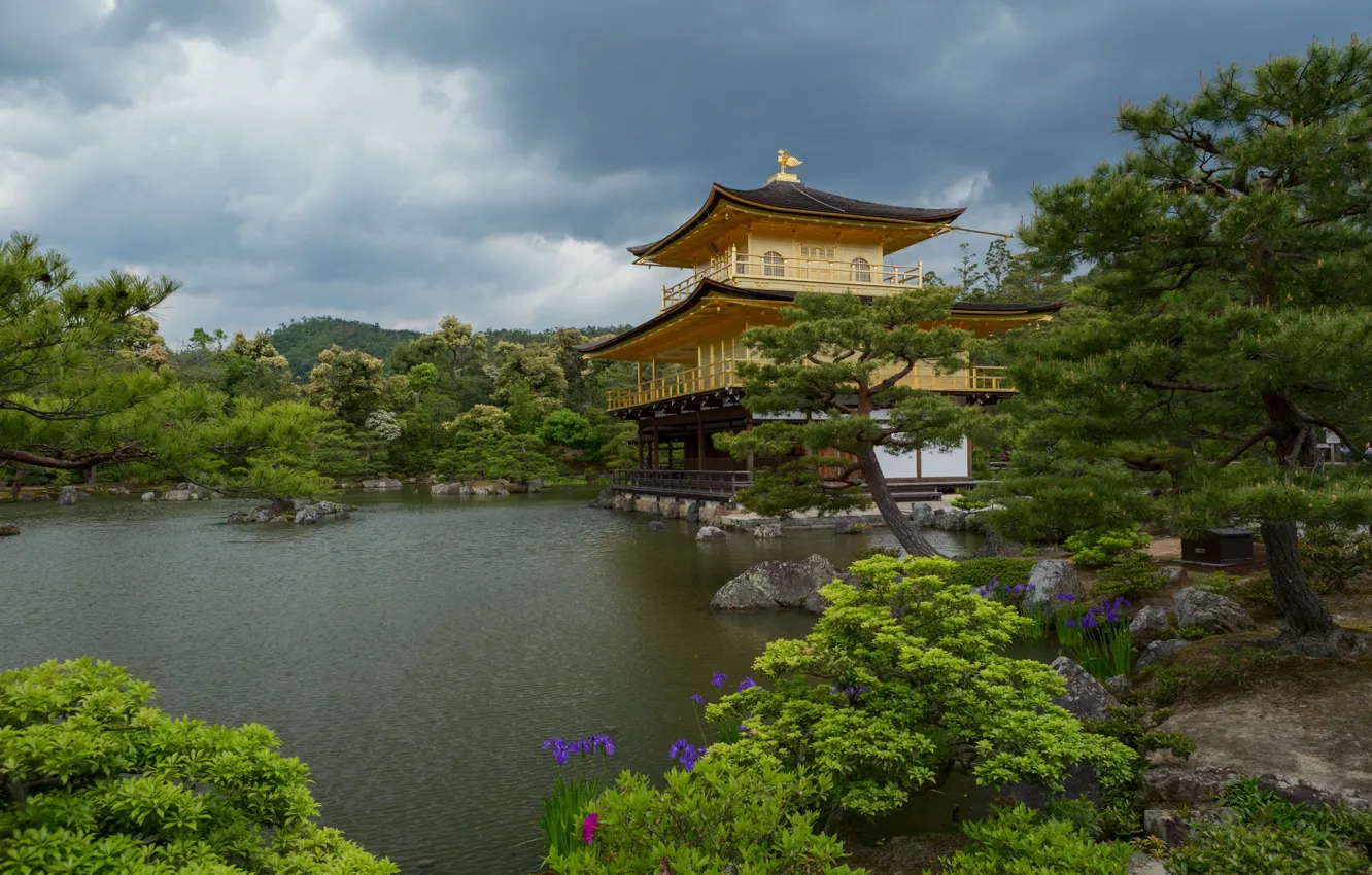 Фото обои пейзаж, природа, пруд, парк, растительность, Япония, храм, Киото