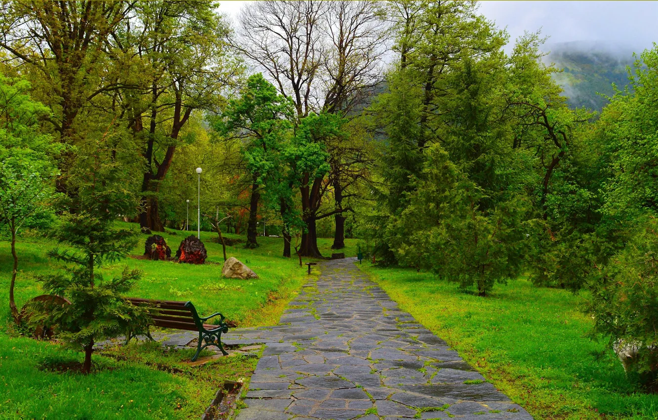 Фото обои Весна, Деревья, Скамейка, Парк, Park, Spring, Trees