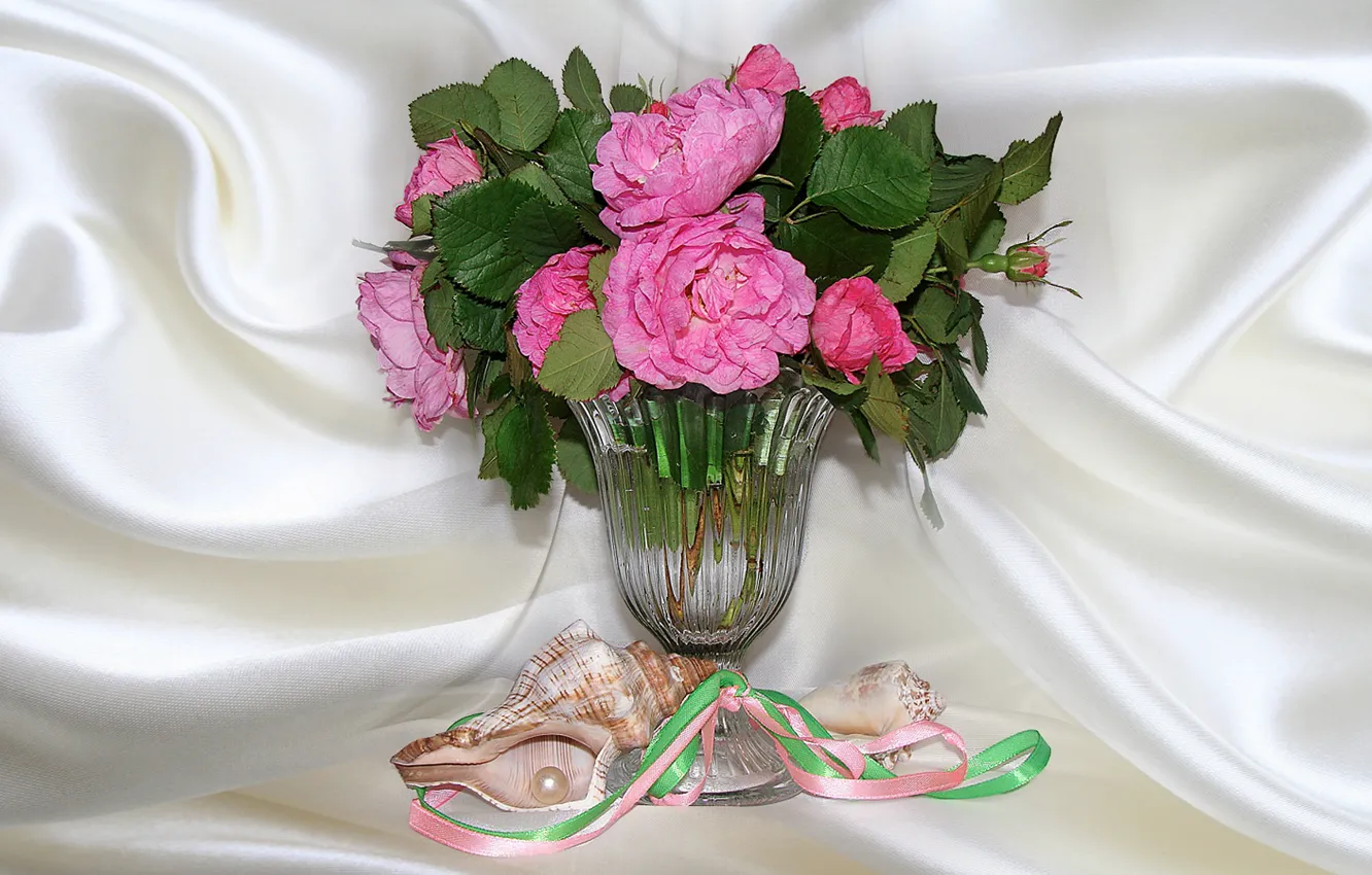 Фото обои природа, настроение, розы, красота, ракушки, натюрморт, красивые, розовые цветы