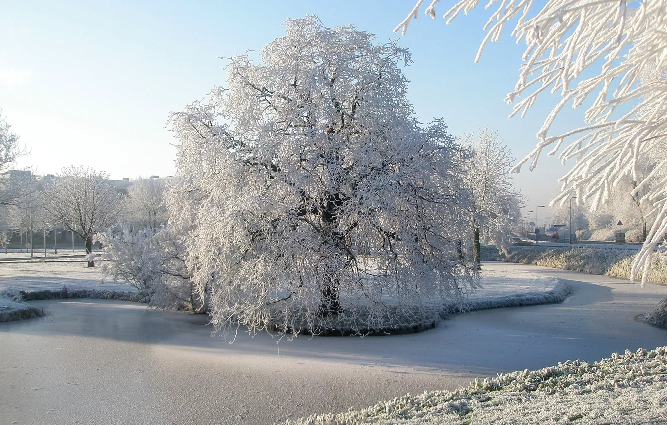 Фото обои зима, иней, снег, деревья, парк, река, Природа