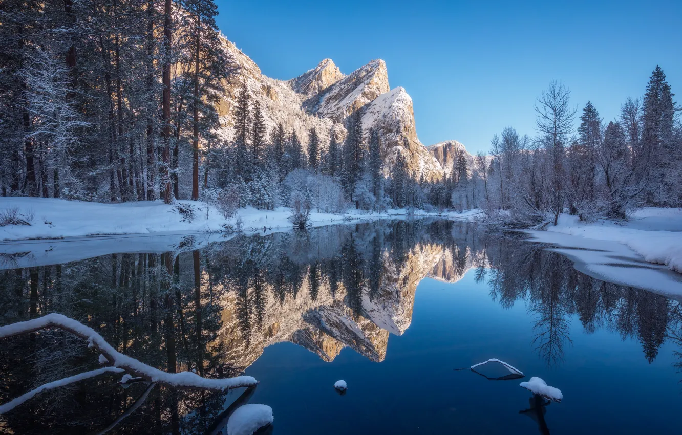 Фото обои зима, снег, деревья, пейзаж, горы, река, forest, river