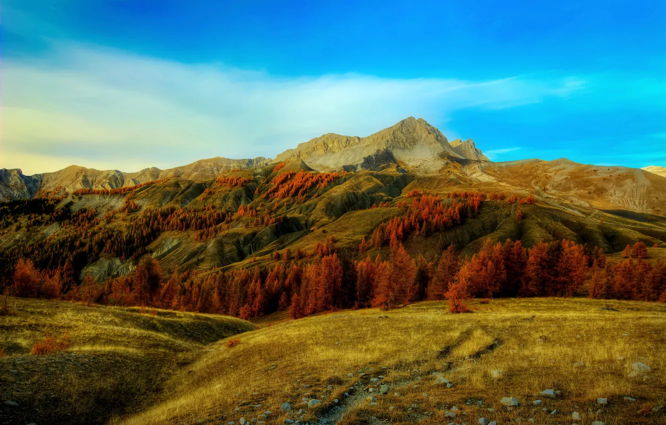 Фото обои осень, трава, деревья, горы, камни, Франция, Альпы