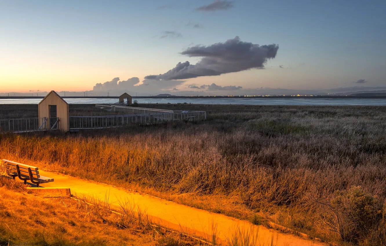 Фото обои grass, road, sunset, cloud