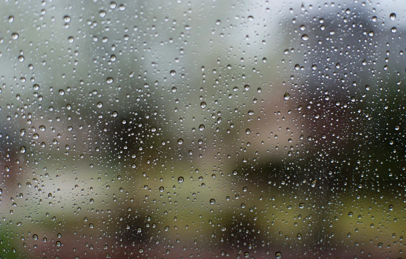 Фото обои стекло, капли, макро, дождь