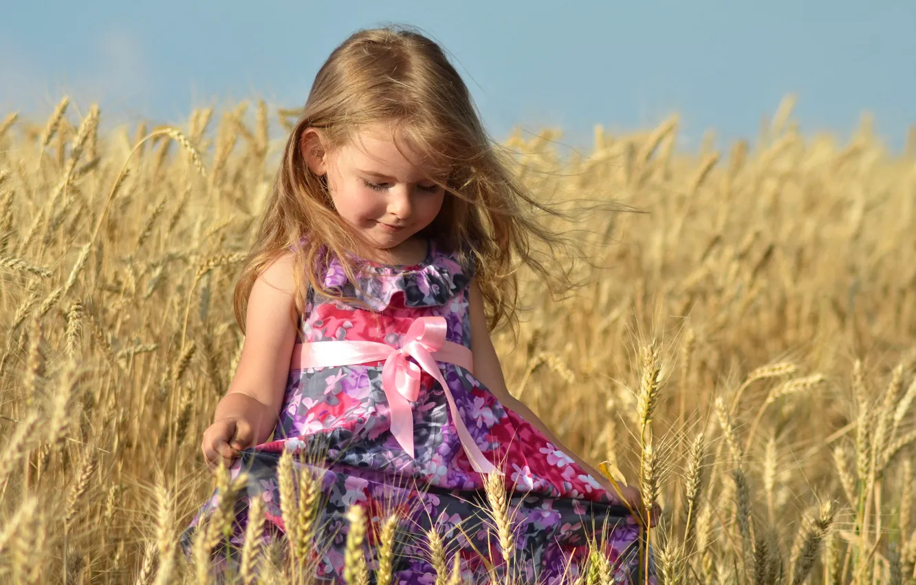 Фото обои поле, платье, девочка, girl, бантик, малышка, dress, маленькая