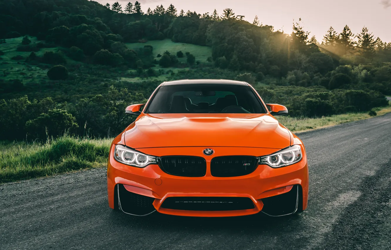 Фото обои BMW, orange, Forest, f80, m3