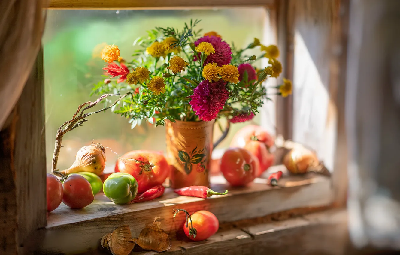 Фото обои цветы, окно, натюрморт, помидоры