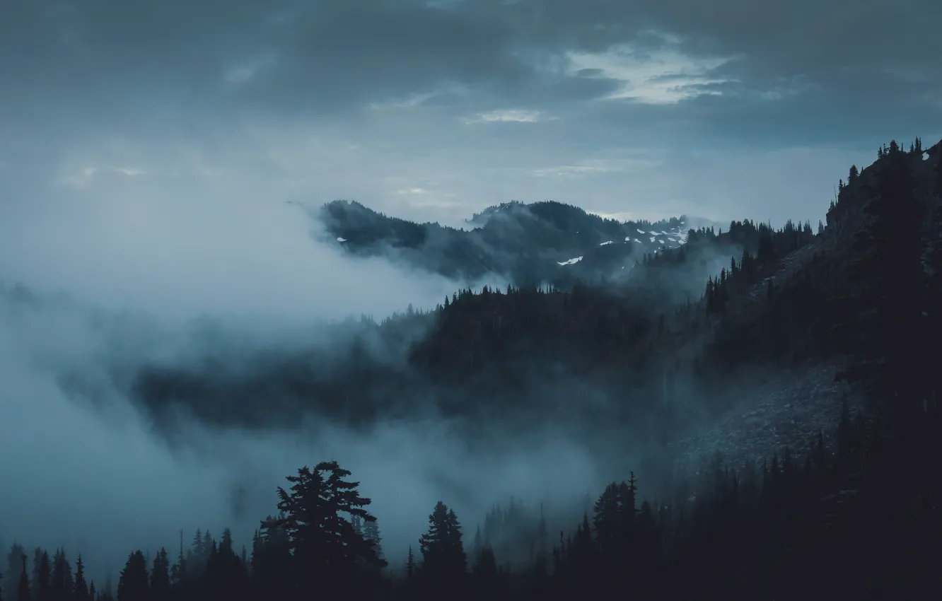 Фото обои лес, небо, деревья, горы, природа, туман