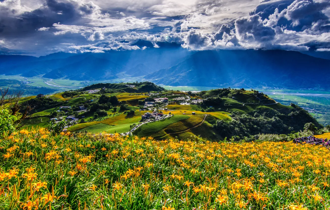 Фото обои облака, цветы, горы, China, деревня, панорама, Китай, Тайвань