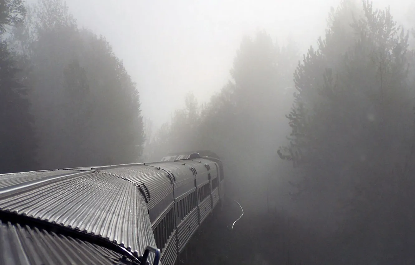 Фото обои поезд, Туман, вагоны