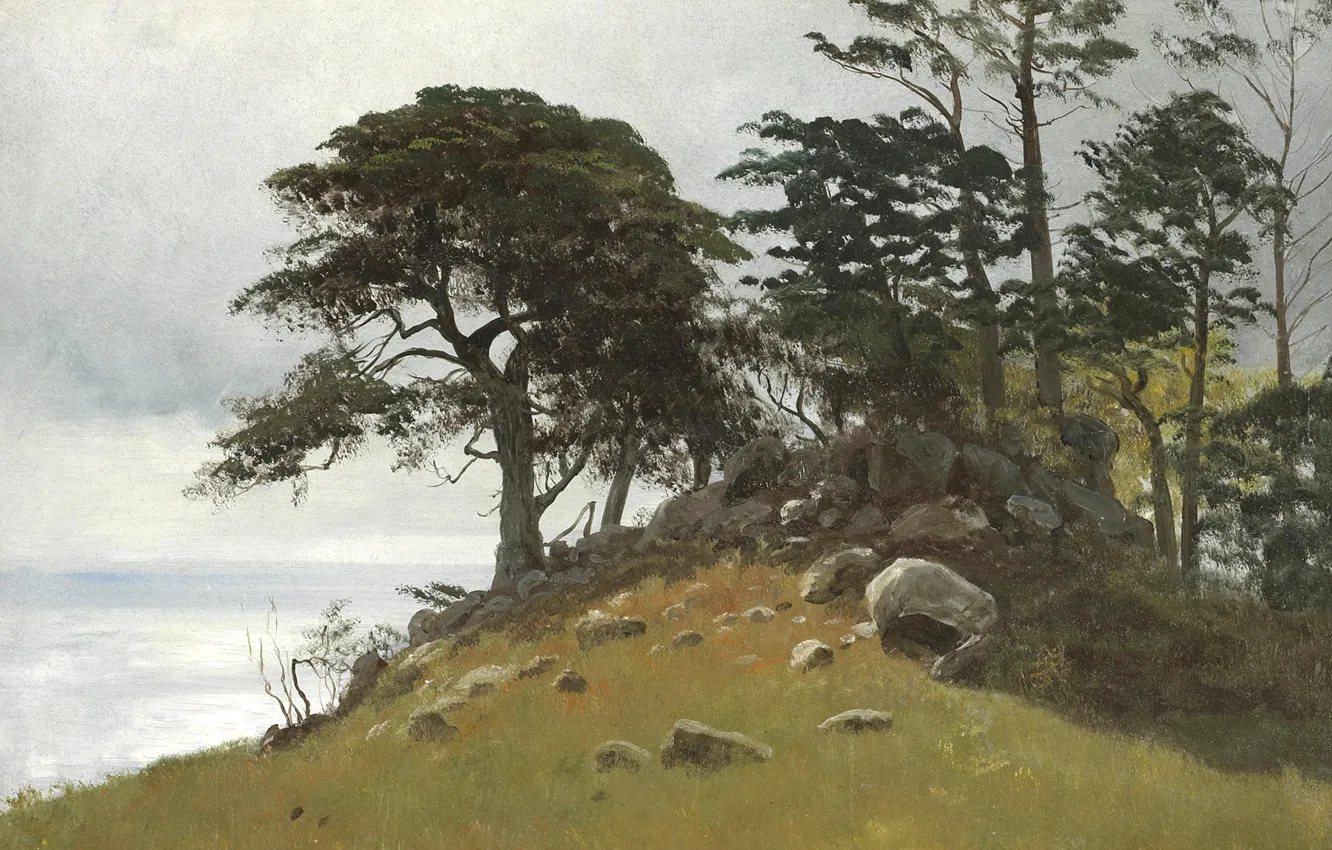 Фото обои деревья, пейзаж, камни, картина, Альберт Бирштадт, Cypress Point. Monterey