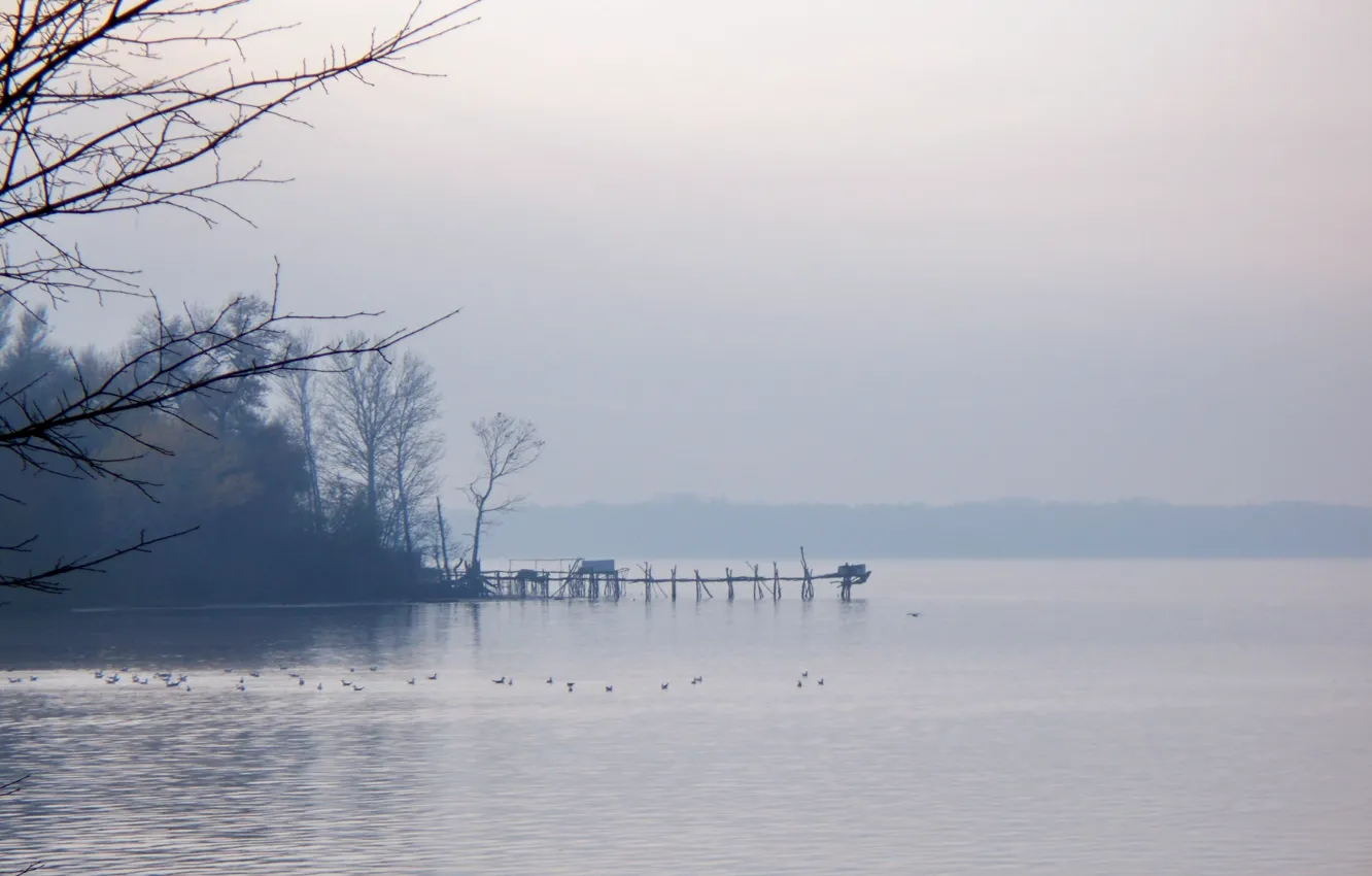 Фото обои вода, ветки, туман, река, берег, утро, причал, горизонт