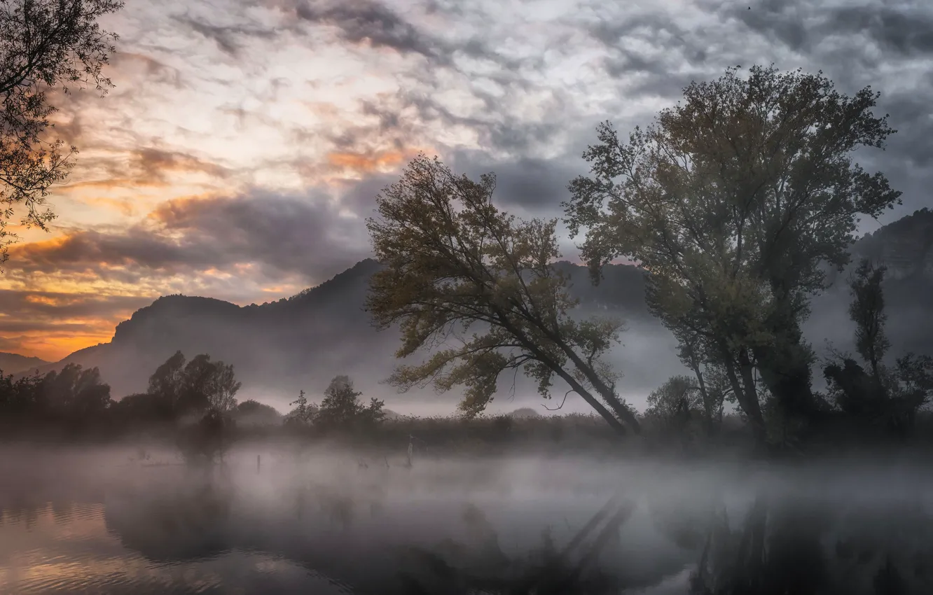 Фото обои осень, деревья, горы, туман, озеро, отражение, водоем