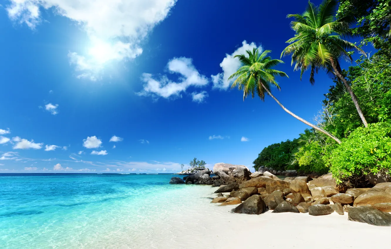 Фото обои песок, море, пляж, солнце, тропики, океан, берег, остров