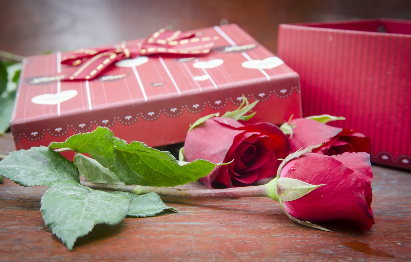 Фото обои цветы, подарок, розы, pink, flowers, romantic, gift, roses