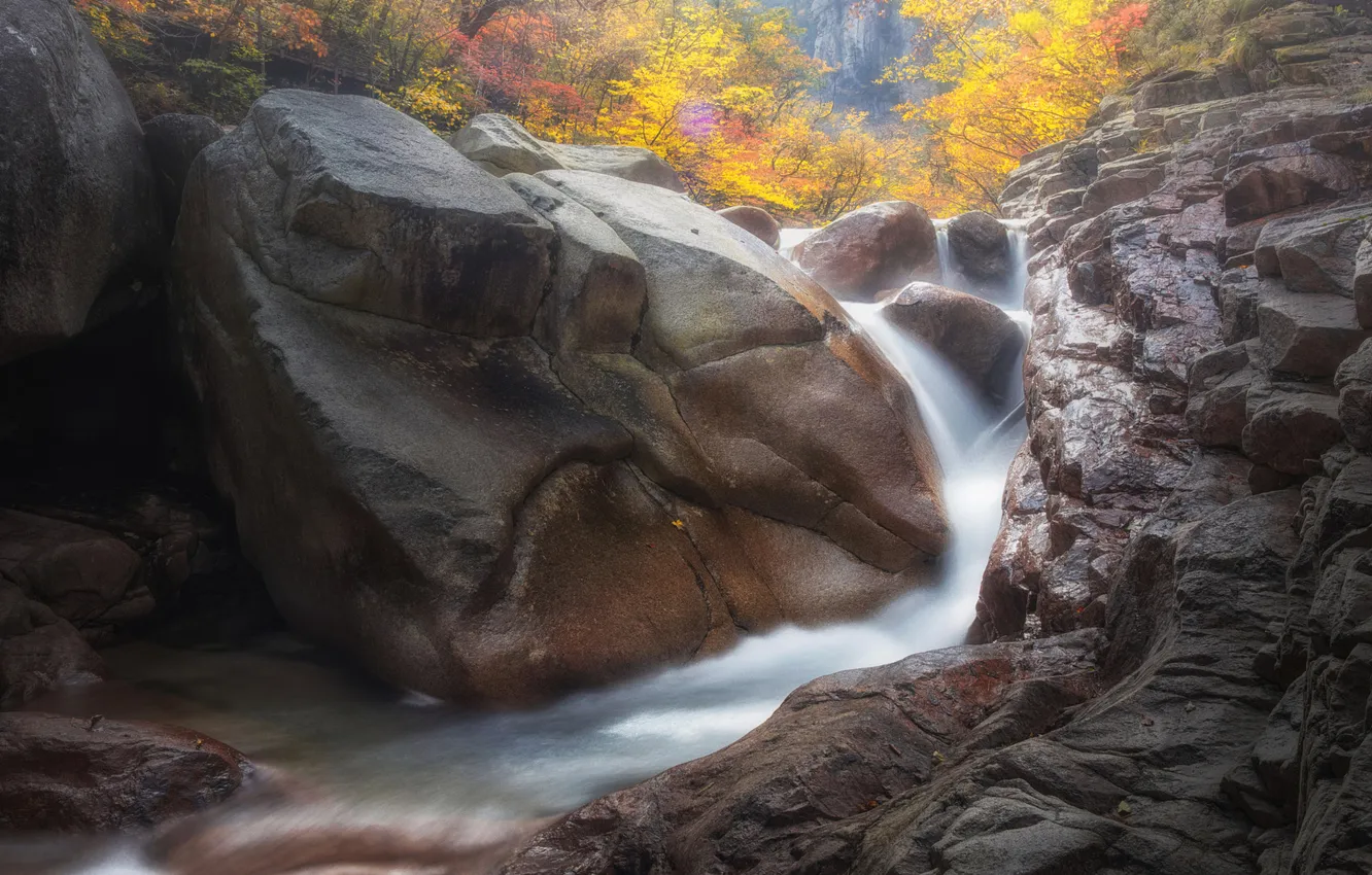 Фото обои осень, лес, природа, камни, скалы, течение, водопад, поток