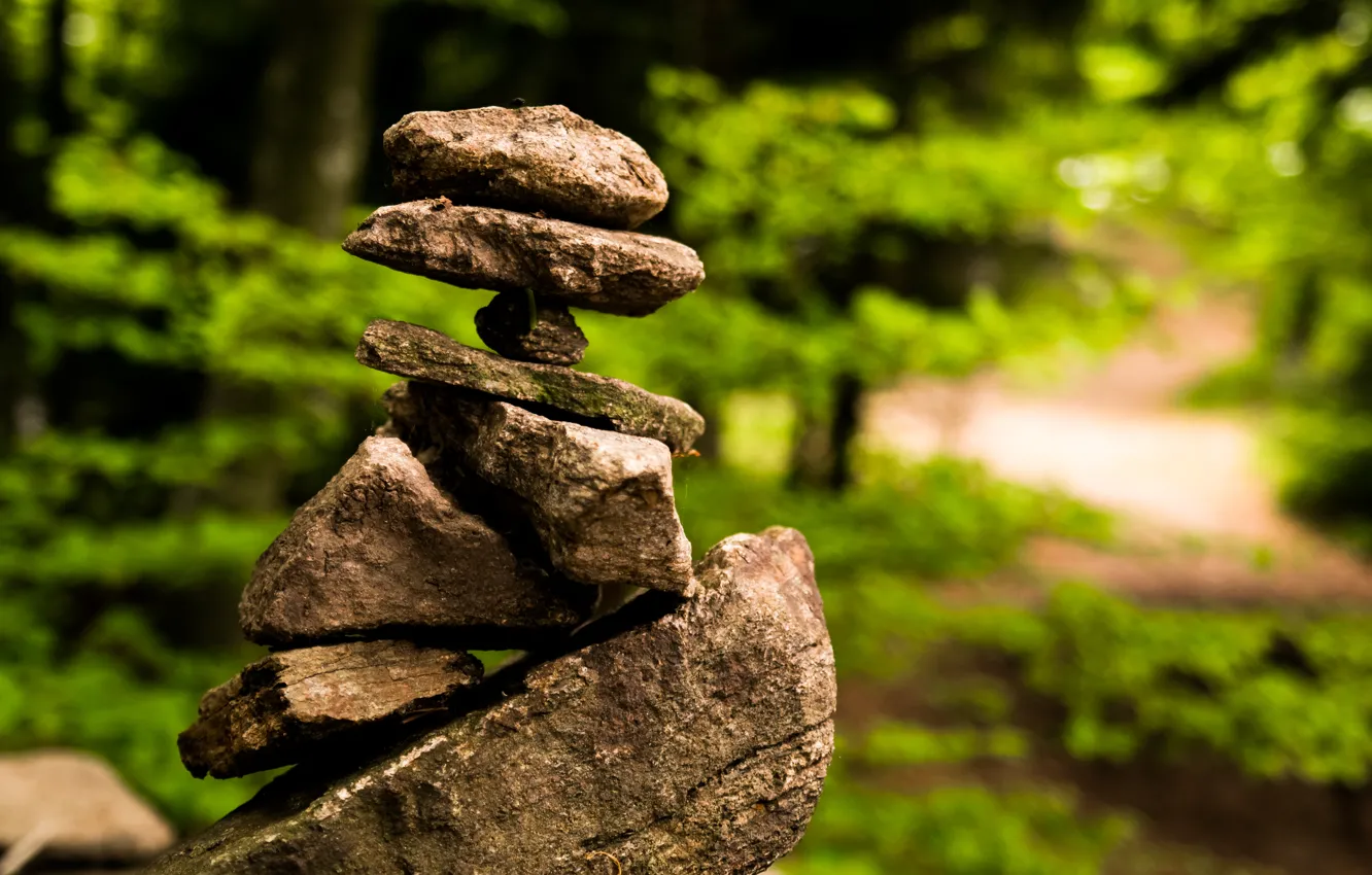 Фото обои Green, Summer, Rocks, Stones, Woods, Black Forest, Artificial