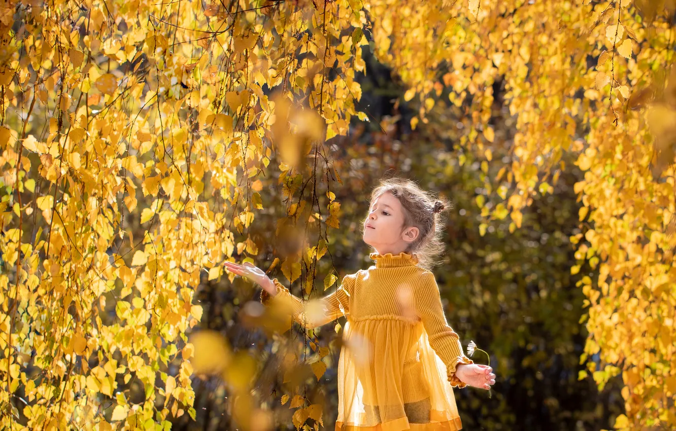 Фото обои осень, взгляд, свет, природа, поза, парк, ветви, листва