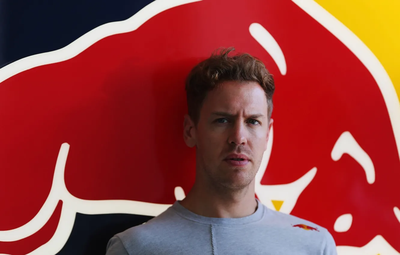 Фото обои Гонщик, Sebastian Vettel, Чемпион