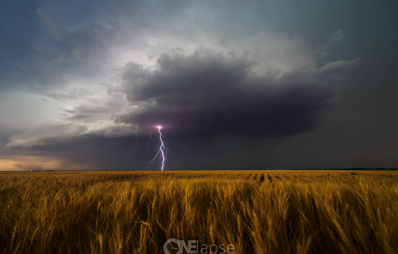 Фото обои гроза, поле, лето, шторм, молния, США, Июнь, Леоти