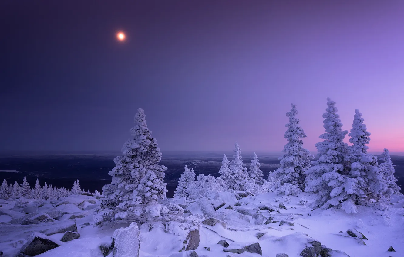 Фото обои зима, снег, деревья, луна, Россия, Урал, Челябинская область, Хребет Уреньга