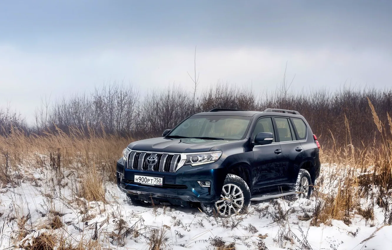 Фото обои Toyota, Prado, testdrive, 2019